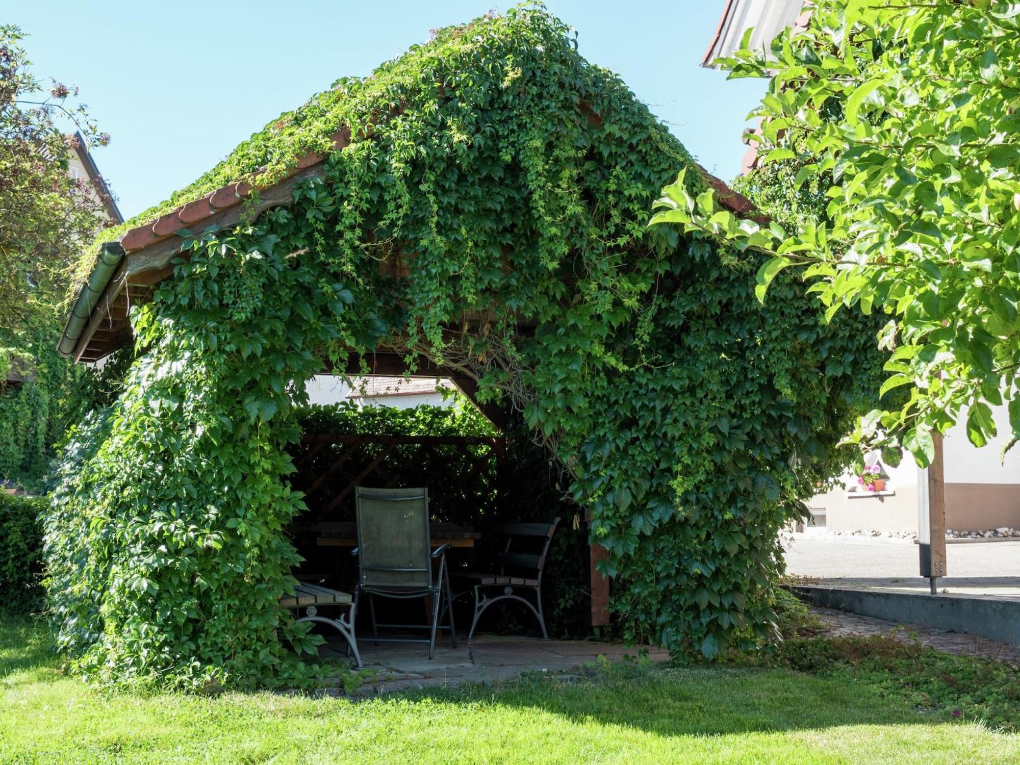 Cozy Apartment In Schwenningen With Garden Villingen-Schwenningen Eksteriør bilde